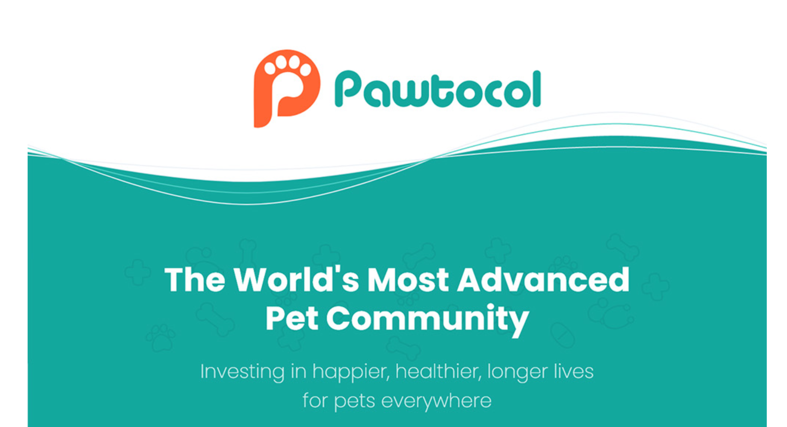 Global support. Pawtocol.