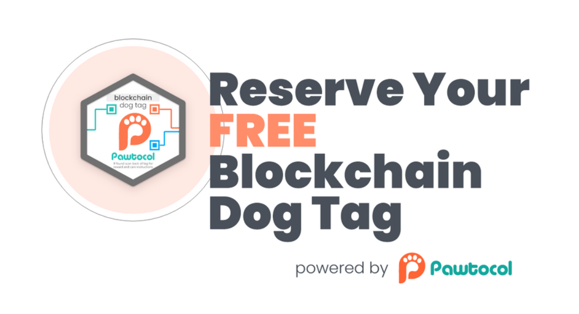 pawto_dog_chain.PNG