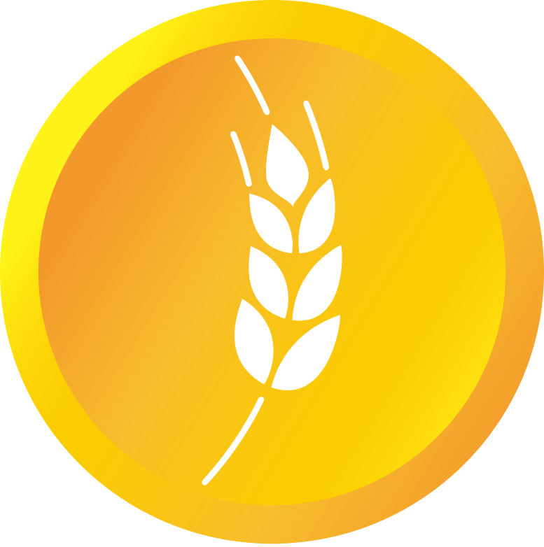 dmtc_logo.png