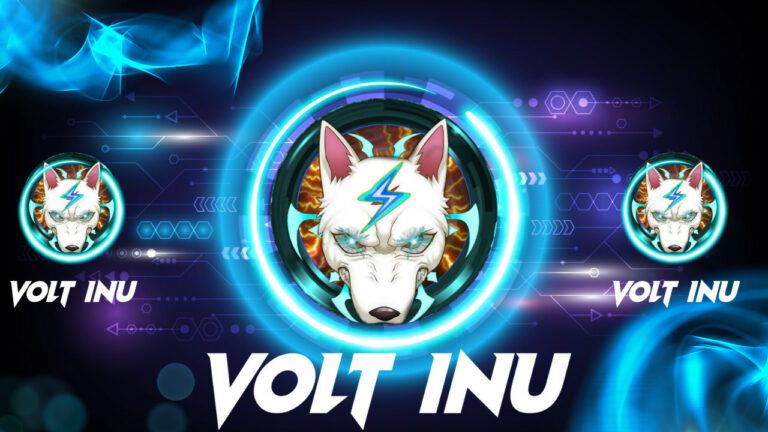 volt-inu-768x432.jpg